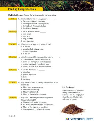 6A Reading Comprehension