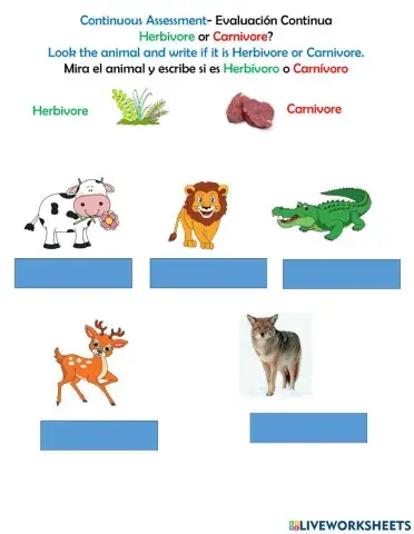 Carnivore or Herbivore?