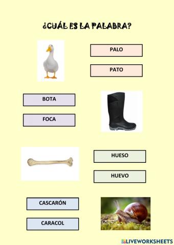 ¿Cuál es la palabra?