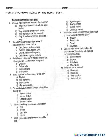 Structural Level of Human Body
