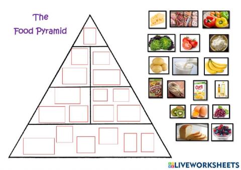 English Year 3 Food Please: The Food Pyramid