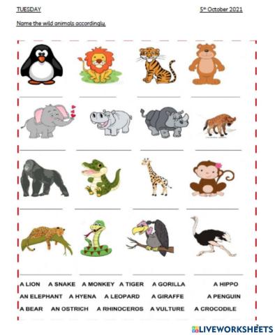 Tuesday 5 oct 2021 year 3