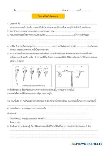 วิวัฒนาการ