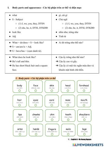 E6 vocab appearance and personality (Ms Nuong Nguyen)