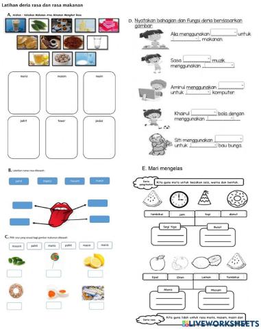 Latihan Deria Manusia