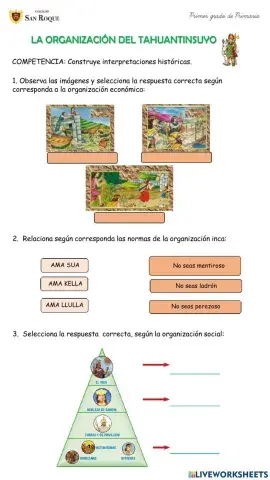 El tahuantinsuyo y su organización