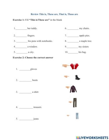 Review this, that, these, those