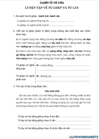 Luyện từ và câu: Luyện tập Từ ghép - Từ láy