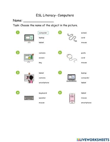 ESL - Lit - Computers