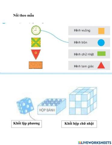 Các dạng hình học