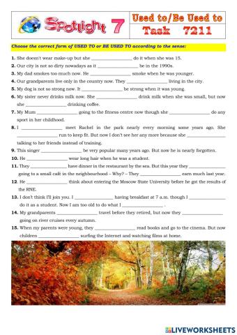 Spotlight 7 Task 7211