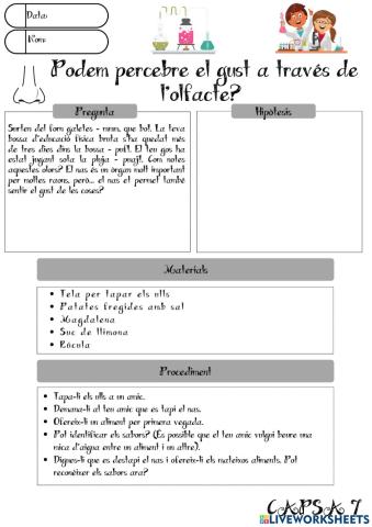 Capses d'investigació 6è: Gust i olor