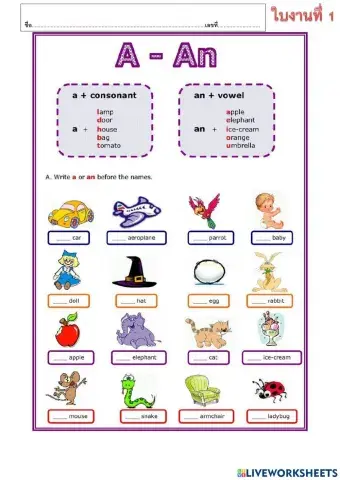 ใบงาน 1 a.an