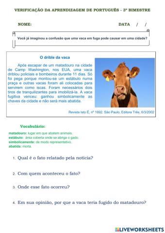 Interpretação de texto