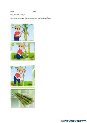 Wah, lihatlah hasilnya.