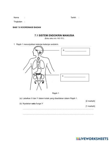 Modul 7.1 Sistem Endokrin Manusia