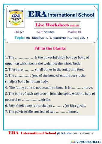 Hind limbs (Page -29-30) Lecture - 4