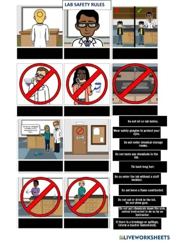 Lab safety rules