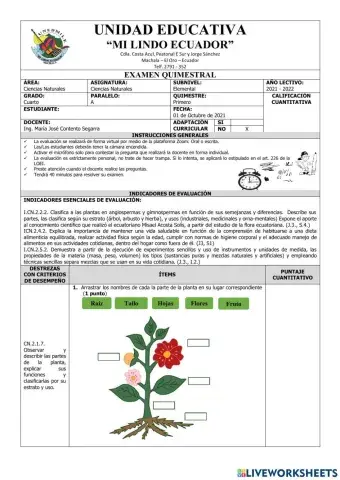 Examen del Primer Quimestre de Ciencias Sociales de Cuarto Grado