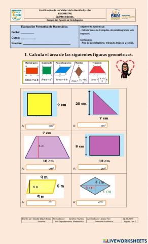 Área . evaluacion formativa - 5° básico.
