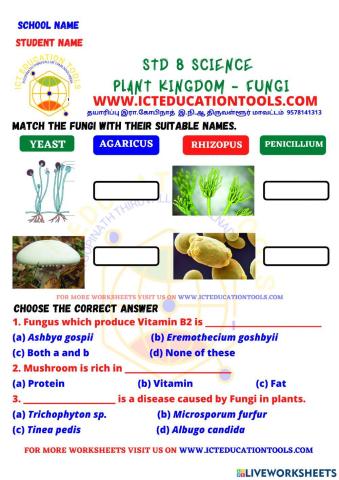 Std 8 science plant kingdom fungi