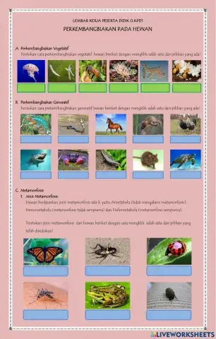 Lkpd perkembangbiakan hewan & metamorfosis