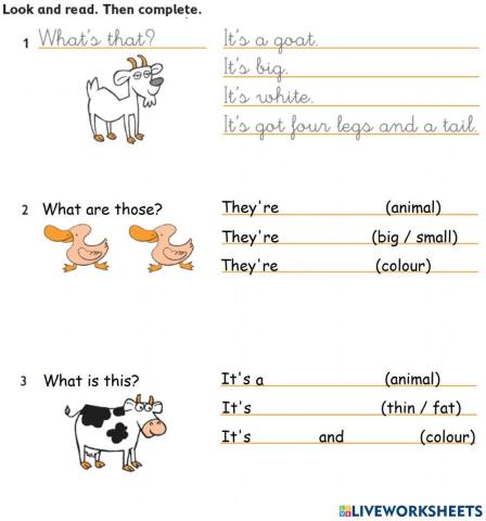 Poptropica Islands 2 - Unit 5