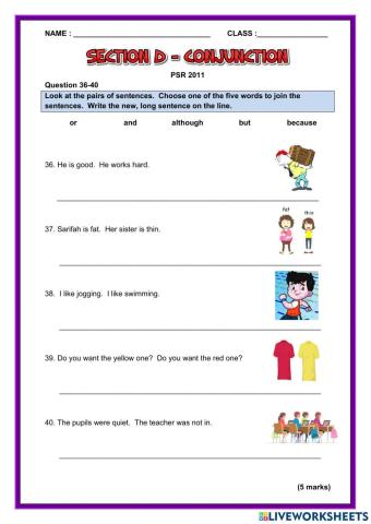Section D Conjunction PSR 2011