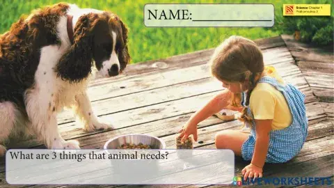 What animals needs