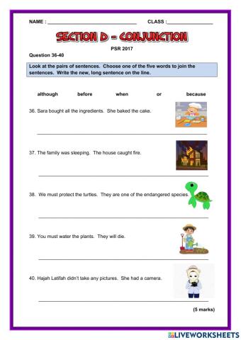Section D Conjunction PSR 2017