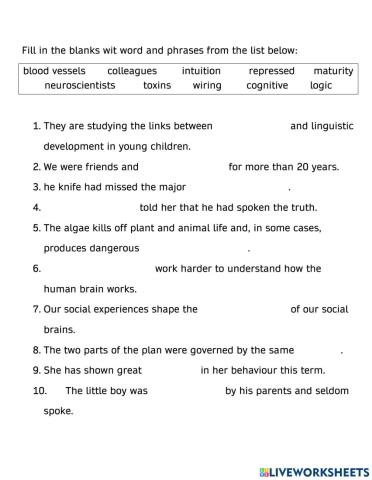 The Human Brain Vocabulary