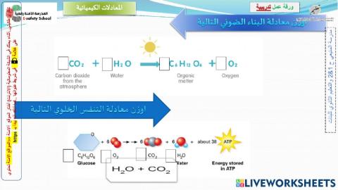 وزن المعادلة الكيميائيةة