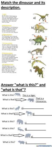 Dinosaurs and Animals