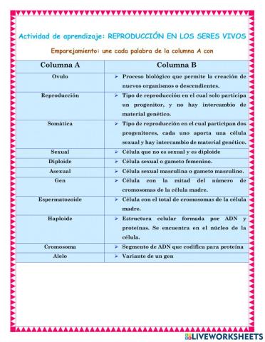 Emparejamiento: Reproducción en seres vivos