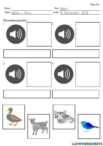 Pengamatan Pendengaran