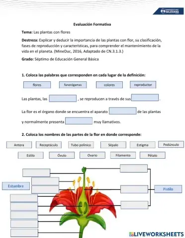 Evaluación Formativa CCNN