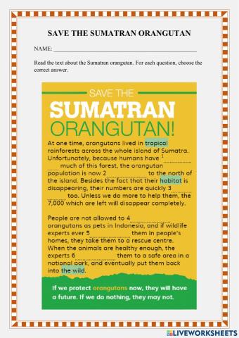 Save the Sumatran orangutan