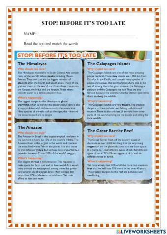 Stop! before it’s too late