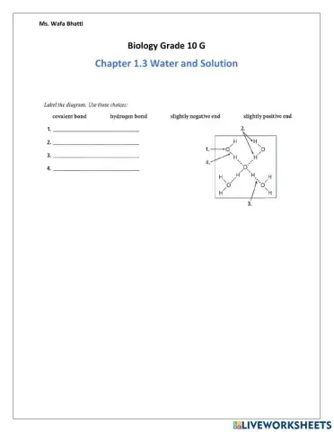 Polar Water Molecule