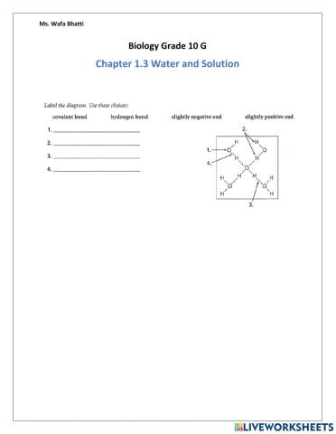Polar Water Molecule
