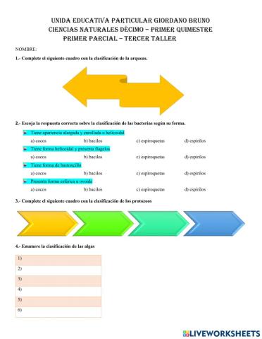 Clasificacion protistas