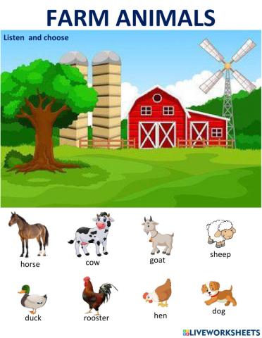Farm animals sounds