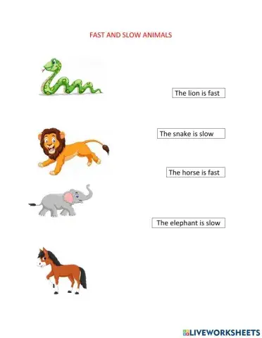 Fast and slow animals