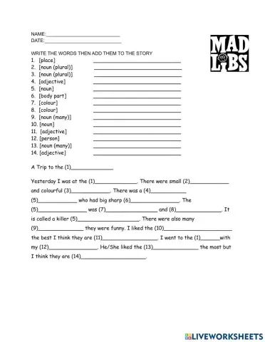 Mad Libs