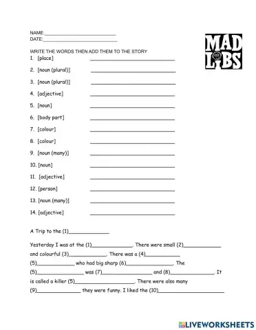 Mad Libs