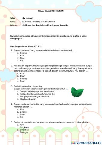 Evaluasi Kelas IV Tema 3 Subtema 1 Pembelajaran 3