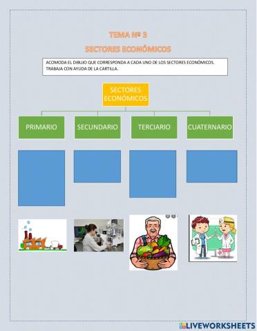 Sectores económicos