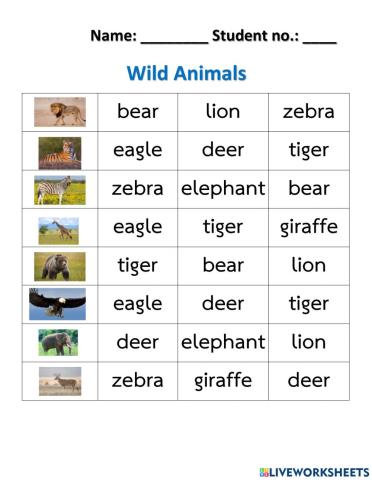 Wild Animals