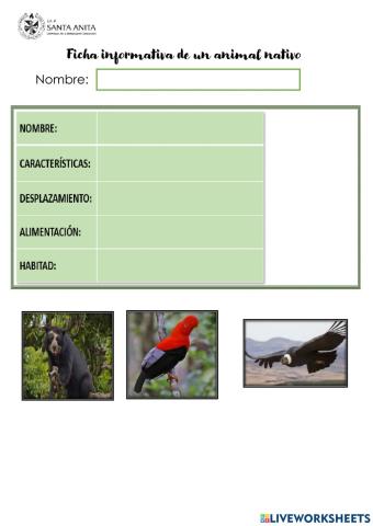 Ficha informativa de un animal nativo
