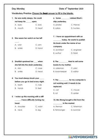 Vocabulary Practice